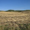 The Wintering Hills And Blue Sky - Prairie Scenes South of Drumheller, AB