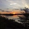 Massasauga 025