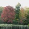 Bridgewater, N.S. - The Lahave River at Cookville on October 06, 2008.