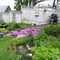 PIPPY'S YARD,SANFORD