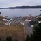 Springdale Harbour from Boyle's Hill