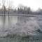 Thompson Creek 5