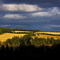 PEI Farmland
