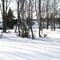 Sundance Cove in Winter