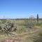 Whispering Ranch