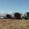 Food Grains Harvest