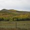 Hills near Hardisty