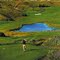 The gorgeous Lee Creek golf course.