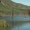 Choatla Lake near Carcross