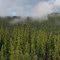 2010-06-24 Klondike Hwy (Hwy 2)