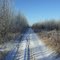 Quad track, Fox Lake