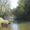 Lazy Turn Mokelumne River