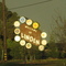 Welcome to Linden