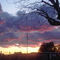 Sunset In Lodi, California.