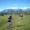 Mountain Biking Near Jasper