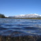 Tranquil Ripples And Majestic Mountains On Wildhorse Lake West of Hinton AB May '09