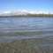 Mottled and Rippled Waters of Tranquility at Beautiful Wildhorse Lake East of Jasper AB