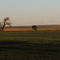 Barnwell, Alberta