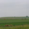 fields of  life