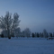 Frosty Morning