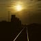 Morning Tracks in Taber, Alberta