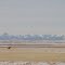 Contrasting Mountain And Prairie South Of Calgary Jan '13