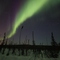 Northern Lights
