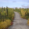 Road to Gwich'in Jak Park