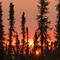 Sunrise in late April