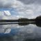 reflejos