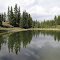 Gorgeous Reflections On Jarvis Lake In William Switzer Park Near Hinton AB June '12