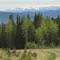 A Wonderful, Contrasting Green And Blue Vista Of The Foothills And Rocky Mountain Front Ranges Near The Athabasca Fire Lookout Near Hinton AB June '12