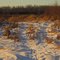 Textured Winter Light On Bennett Lake Bed In The Strathcona Wilderness Centre, East of Sherwood Park AB And Edmonton Dec '10