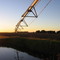 Bow Island Irrigation area