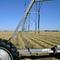 Irrigation system arround Bow Island