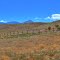 North of Gunnison Gorge