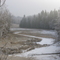 Frosty Creek