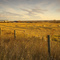 Farm at  Dawn