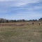 A Prairie Meadow in the Spring - May in Morningside AB South of Edmonton