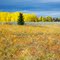 Autumn Colors