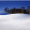 Winter Hill