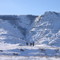 Horses in the Canyon North of Drumheller AB