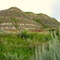 Badlands Green And Gold - Contrasting Colours in the Canyon Near Nacmine, Northwest of Drumheller, Alberta, Canada