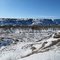 Cottonwood Forest And Badlands Banks West of Drumheller AB Feb '11