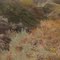 Surprisingly Colourful Autumn Badlands At Horseshoe Canyon Near Drumheller AB Sep '11