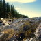 A Waterfall Along Shunda Creek Near Nordegg AB, Southwest of Edmonton