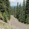 The View Down The Twisty Steep Trail/Fire Road Through The High Mountain Forest From Spectacular Shunda Mountain (2080m, approx 7000 ft) Near Nordegg AB June '10