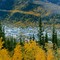Dawson City