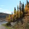 Approaching the ferry across the Yukon River at Dawson City