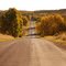 A Country Road in Autumn